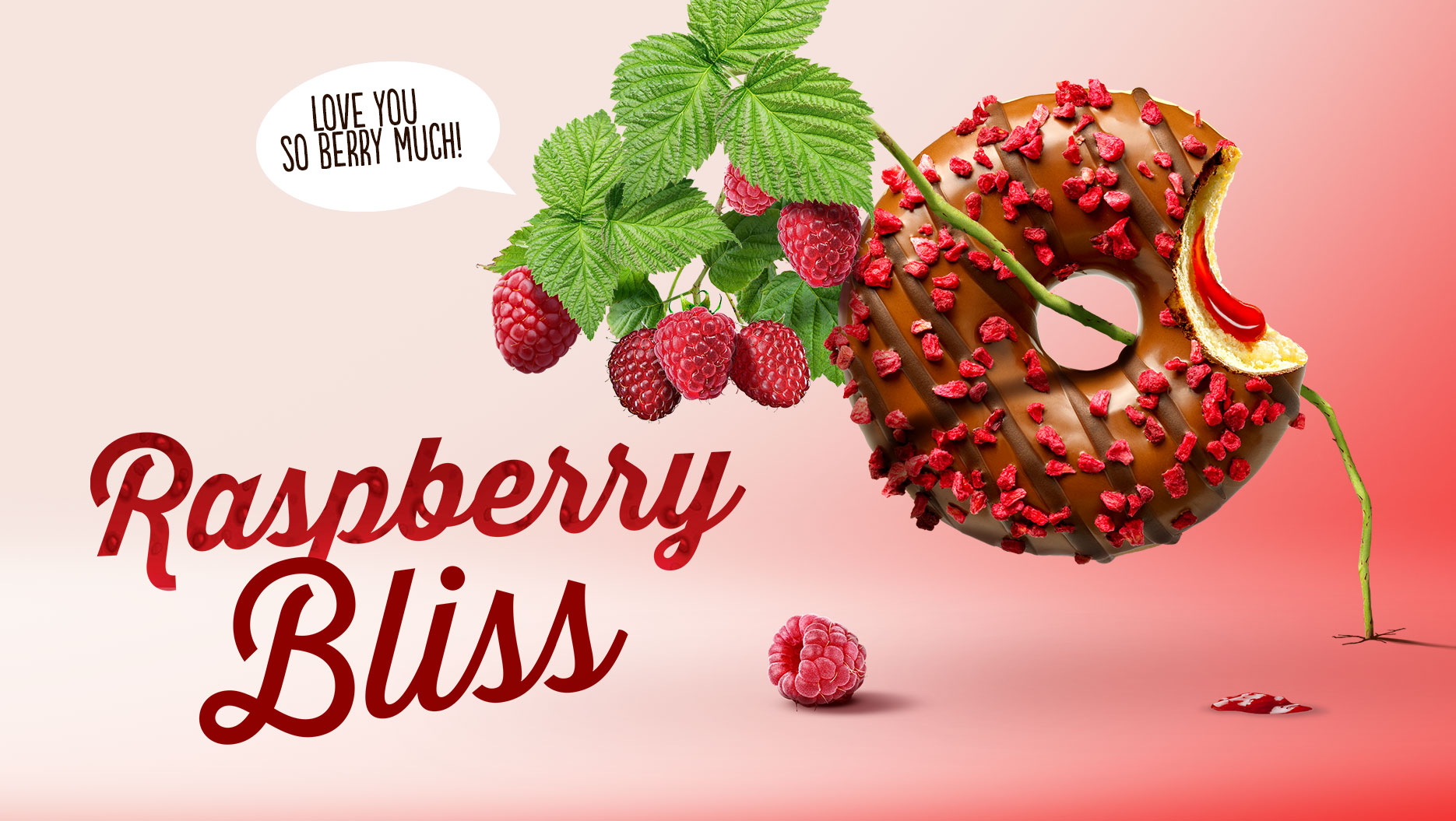 DNWBH-product-detail-top-of-bites-raspberry-bliss.jpg